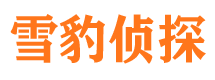 雅江侦探